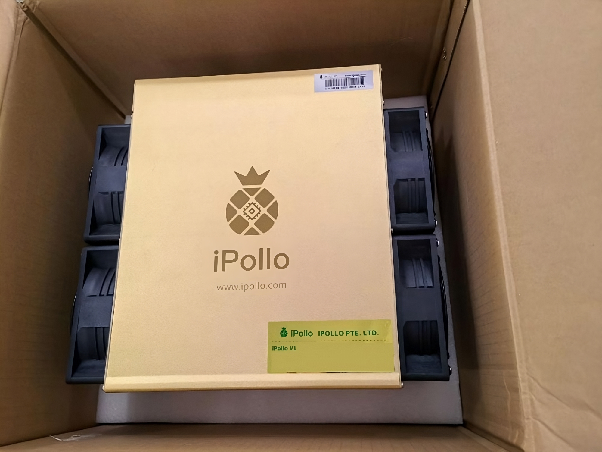 Ipollo v1